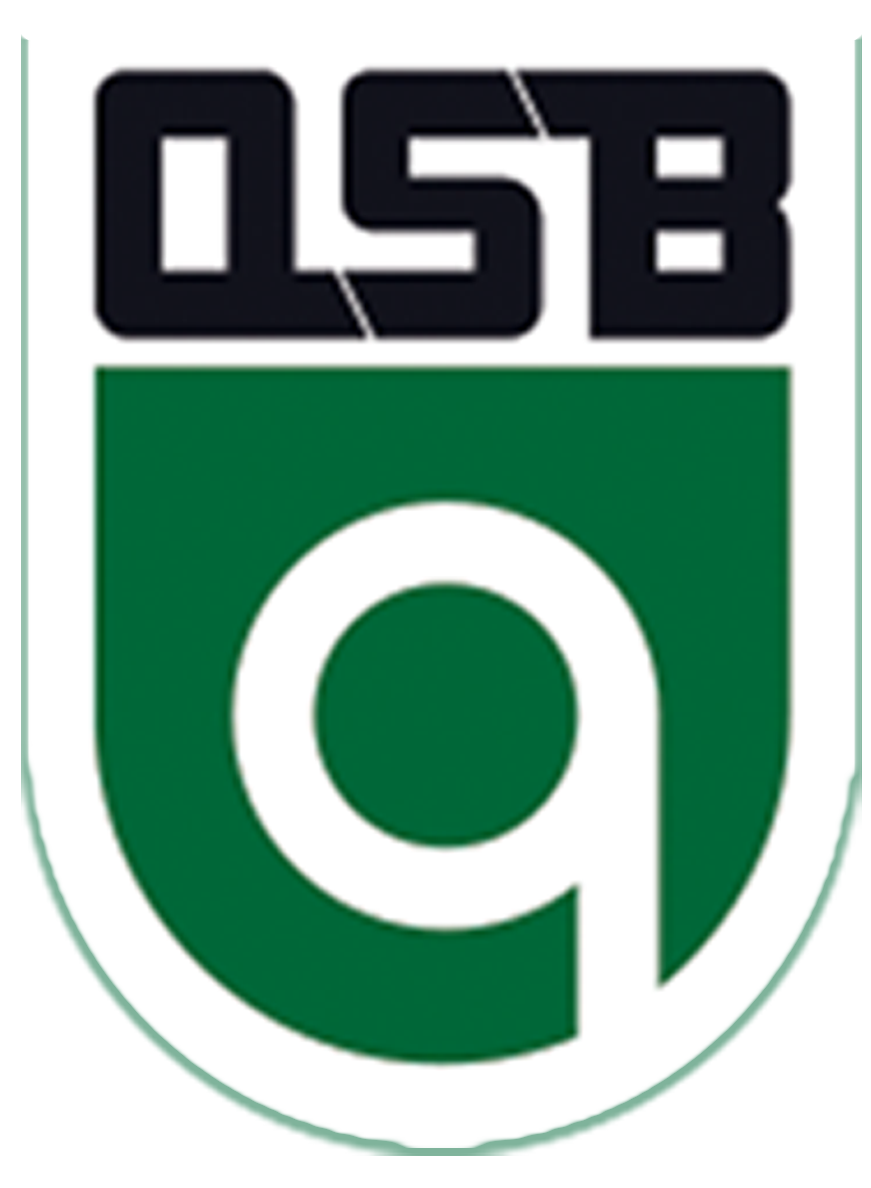 QSB International logo
